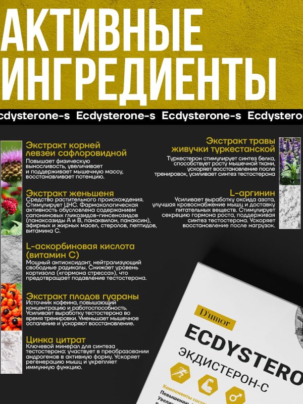 ECDYSTERONE-S - D'umor